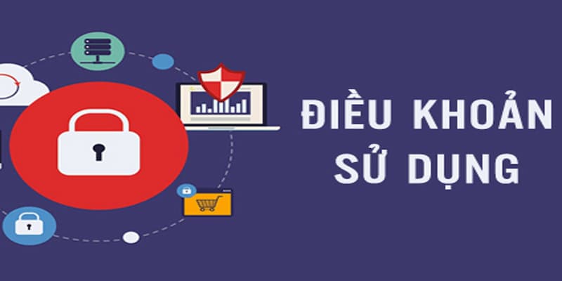 Điều kiện điều khoản Chi tiết các điều kiện điều khoản
