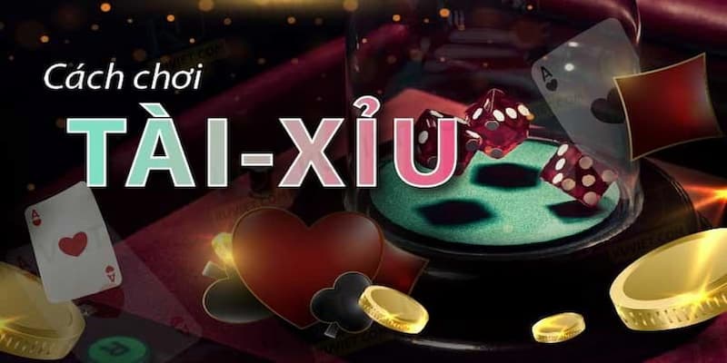 Mẹo chơi tài xỉu trực tuyến Mẹo chơi tài xỉu trực tuyến hiệu quả