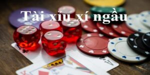 Kinh nghiệm chơi tài xỉu livestream
