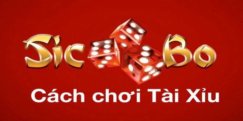 Cách chọn nhà cái tài xỉu Vì sao cần biết cách chọn nhà cái tài xỉu uy tín